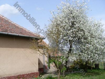 Traditionelles  Haus 37 km bis zum Balaton Nr. 20/31