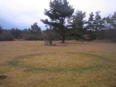 Rutengängerausbildung