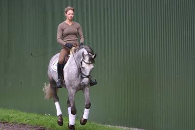 9 YR (dreht 9. Juni) SCHÖN, Muskulös, kräftig