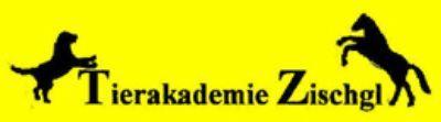 Ausbildung zum Hundetrainer, neuer Startbeginn: 09. + 10. Oktober 2010