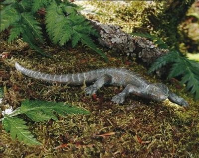 Eidechse aus Bronze 88011