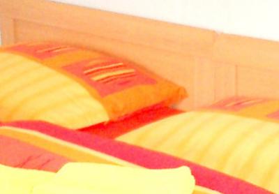 Urlaub mit Hund-Haus alleine bewohnen-Oberb.Mittenwald