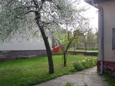 Traditionelles  Haus 37 km bis zum Balaton Nr. 20/31