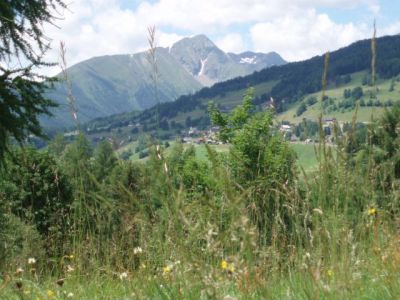 3 geräumige, bestens ausgestattete Ferienwohnungen im Herzen Österreichs