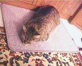 Ende der Heizperiode – und nun?