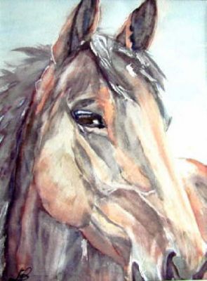 Wechselkurs jetzt günstig! Immobilien Ungarn Nr.60/13 