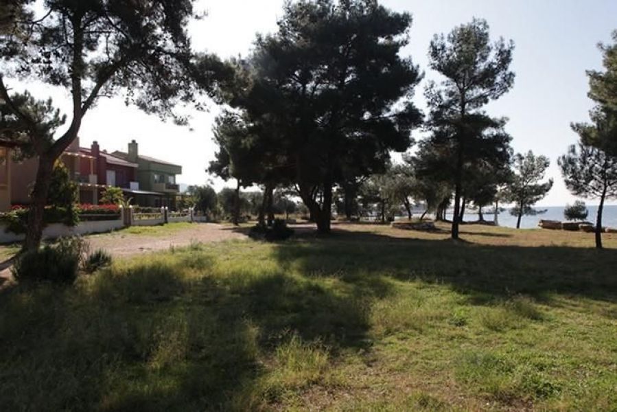 Griechenland - Thassos Erste Linie - Island