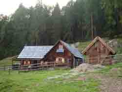 Ferienhütten in der Steiermark