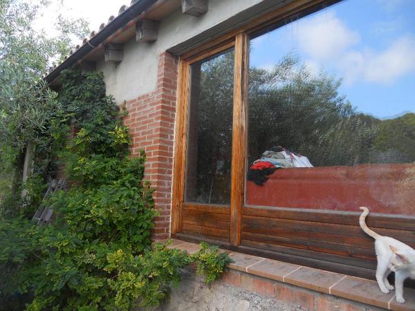 Sie suchen ein Stück Paradies ? Sie haben es gefunden