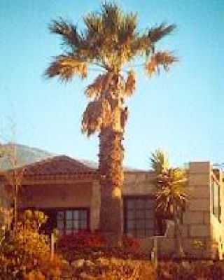 Urlaub im Ferienhaus auf den Kanaren Finca Ananda