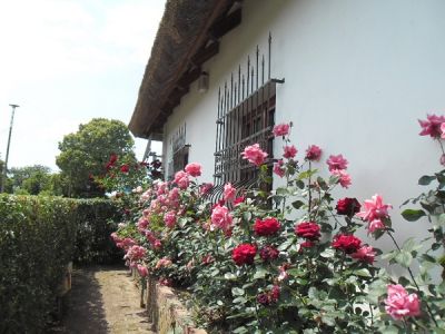 Exklusives Landhaus Ungarn Plattensee Region Nr. 60/28 