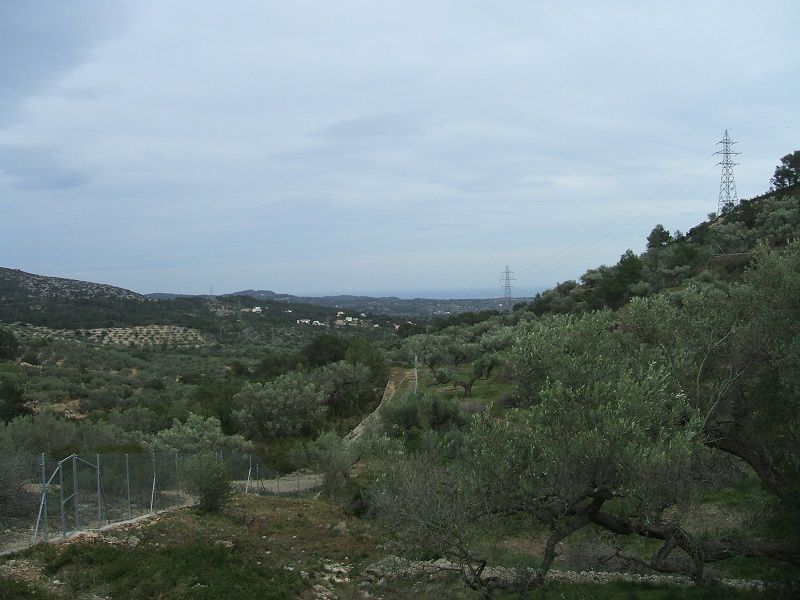 Sie suchen ein Stück Paradies ? Sie haben es gefunden