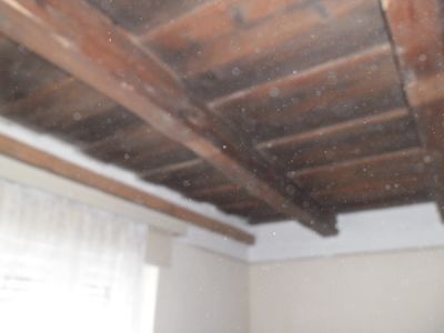 Traditionelles Bauernhaus mit Holzdecke Nr. 20/01