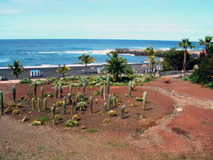 Ferienhaus auf Teneriffa - Bungalow Nora