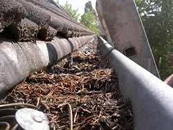 Dachrinnereinigung 1,99€ pro Meter zzgl. Mwst.