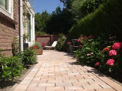 Ferienwohnung ZOUTELANDE Niederlande