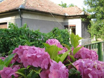 Traditionelles Haus 15 km bis zum Balaton Nr. 20/46