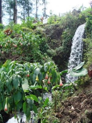 Costa Rica - Baugrundstück 2558 m2 in Sabana Redonda in absolut ruhiger Lage, mit Wasserfall