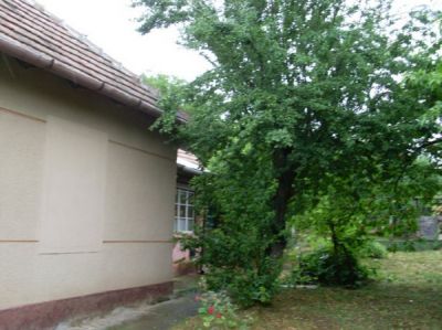 Haus Nähe Naturschutzgebiet Kisbalaton  Nr. 20/39