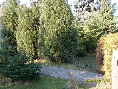 Bauernhaus Ungarn Plattensee Region Nr.40/21