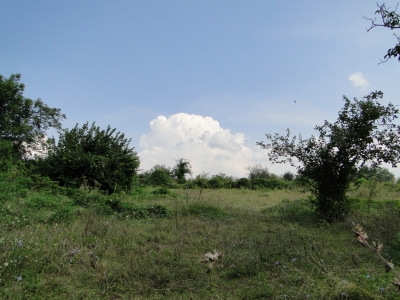 günstiges Grundstück 1796qm 