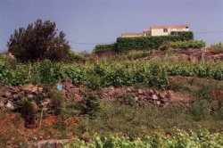 Ferienhaus Teneriffa Finca St. Barbara