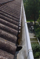 Dachrinnereinigung 1,99€ pro Meter zzgl. Mwst.