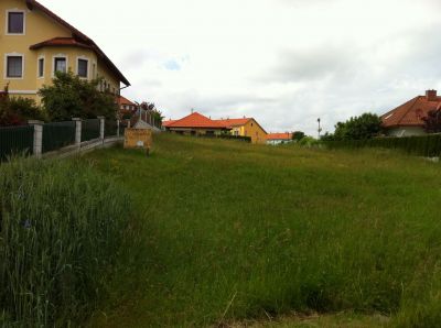 ** PREISHIT **  Sonniger Baugrund in Weitra  * PROVISIONSFREI *