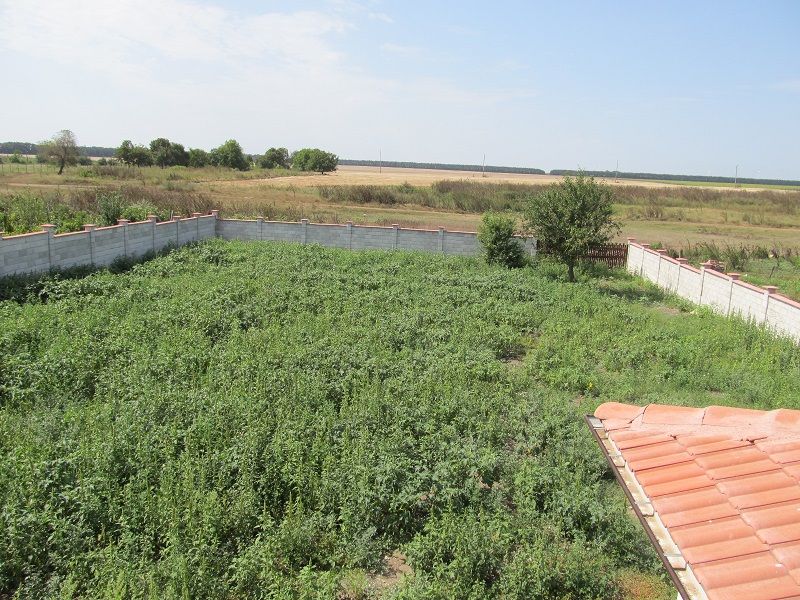 Rote Karte für teure Immobilien - Häuser