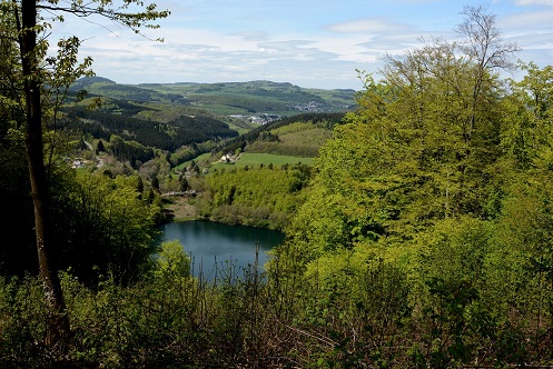 Wandern in der Eifel-Moselregion; 2 Fewo 