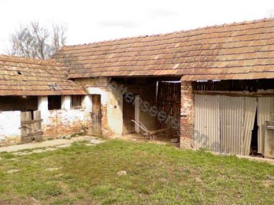 Günstiges Haus mit 3000m2 Grundstück Nr. 29