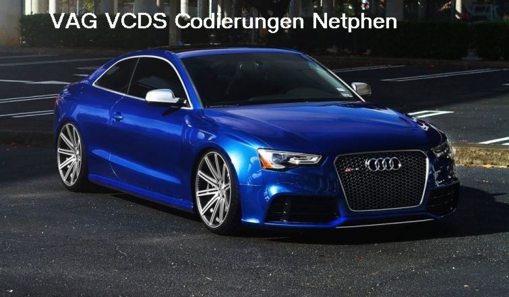 Codierung Fehlerauslese VCD Seat VW Golf Skoda Audi A1 A2 A3 A4..
