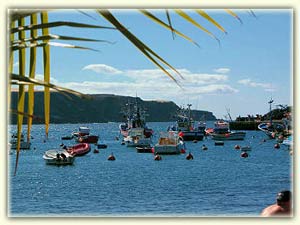 Ferien auf Teneriffa