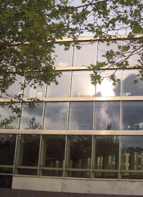 Spezifische Folie «MULTI LEGIERUNG» - Sonnenschutzfolie