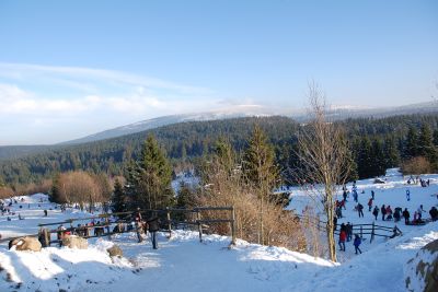 Harz- 3-Sterne-Ferienwohnung Bad Harzburg