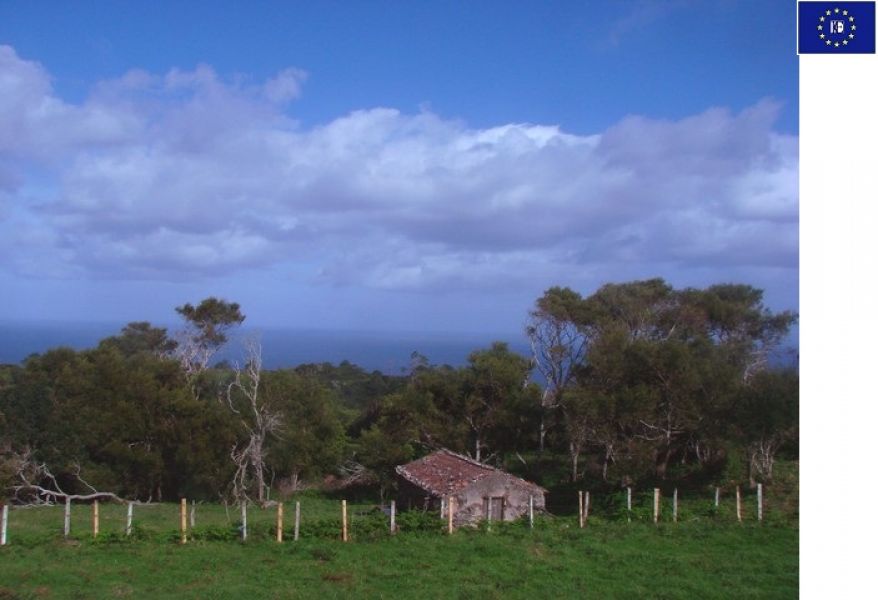 Portugal - Mühle - Meerblick