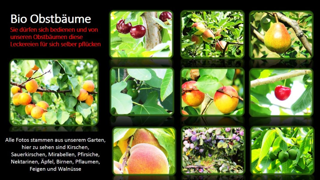 Ferienhaus am Plattensee / Urlaub Sonderaktion: im Juni für nur 40 € pro Tag inkl. bis 8 Personen