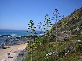 Ferienwohnung Algarve