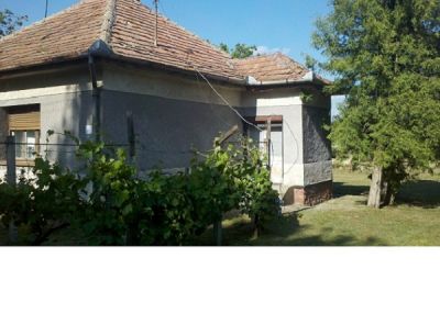 Traditionelles Haus 15 km bis zum Balaton Nr. 20/46