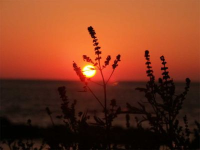 Flisvos Kreta Ferienwohnungen und Zimmer