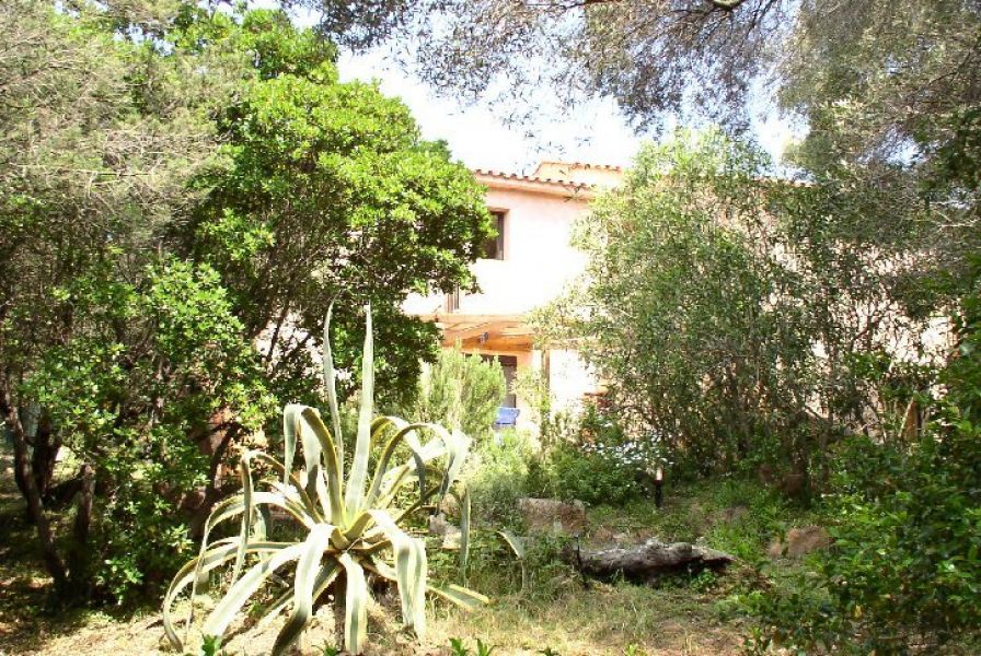 Korsika Ferienhaus bei Porto Vecchio