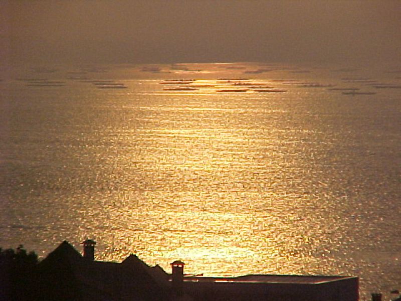 Reihennaus in Nordwest Spanien.