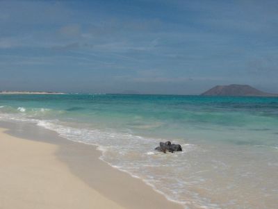 Casa Carlotta - FUERTEVENTURA - ( Lajares )