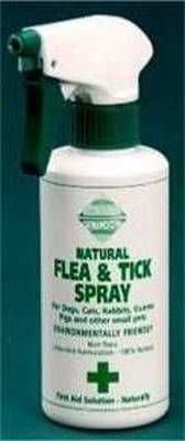 Frühjahr Angebot für alle Hundebesitzer