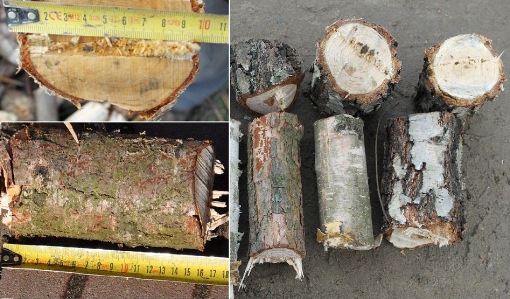 Häcksler, Holzhacker, Schredder mit dem Sacksystem für 2 Säcke