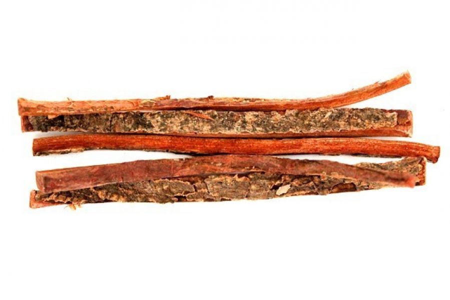 10 Seemandelbaumblätter 10-15cm für Garnelen Krebse Welse Aquarium