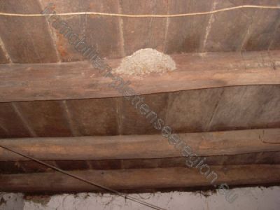 Traditionelles Haus mit 4812 m2 Grundstück Nr. 20/30