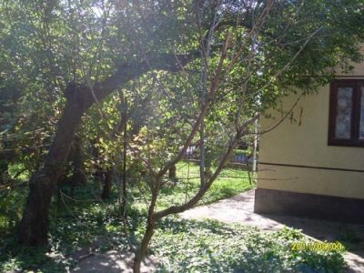 Traditionelles Haus 23 km bis zum Balaton Nr. 20/45