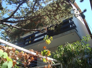 Kroatien, schönes Haus direkt am Meer,zu verkaufen