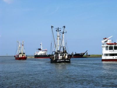 Info Ferienwohnungen Ostfriesland